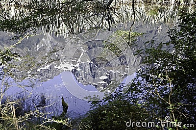 The Mirror Lakes in Fiordland National Park. Beautiful New Zealand. Stock Photo